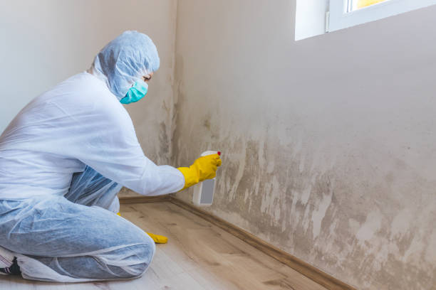Bathroom Mold Removal assessment in Vancouver bathroom