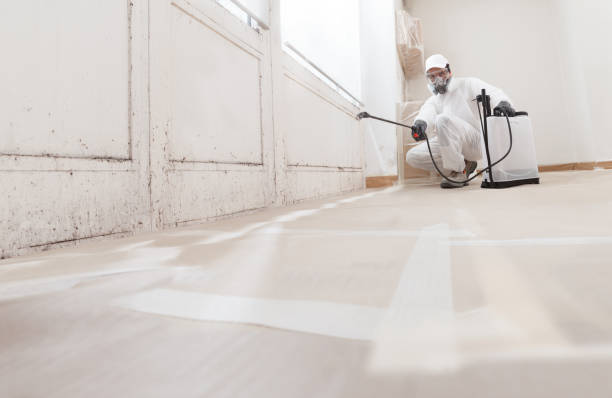 Post-remediation clearance in Vancouver